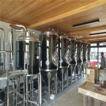 广西300升自酿啤酒设备 酿酒机器