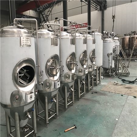 广州2000升精酿啤酒设备 酿酒机械