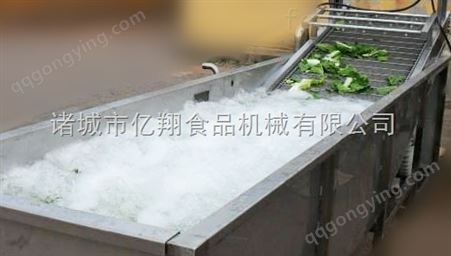 斜坡式网带蔬菜清洗机供应商