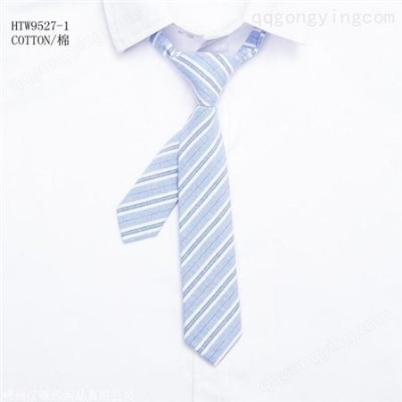 领带 员工领带批发 支持定制 和林服饰
