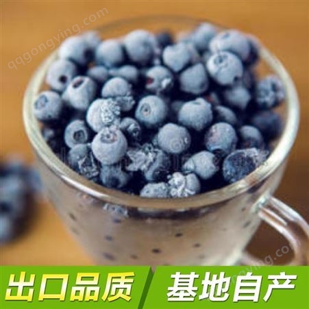 蓝莓批发 冷冻 新鲜水果 健康美味 果汁果酱供应 脱水蔬菜加工