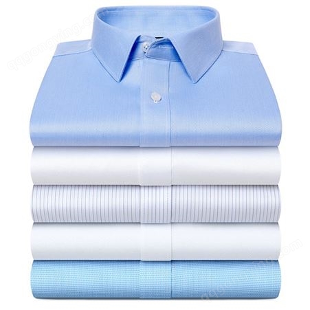职业商务男装 短袖纯色白衬衣 免烫衬衫棉 厂家定制