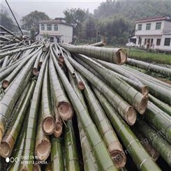 森达竹木 整根楠竹原材料 现货出售 竹木制品