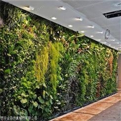 餐厅绿植墙体 绿植文化墙 金森