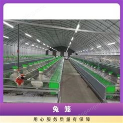 养殖场热镀锌兔子笼 3层定制兔笼 新胜顺 质量保障 选材优质