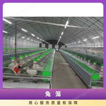 养殖场热镀锌兔子笼 3层定制兔笼 新胜顺 质量保障 选材优质