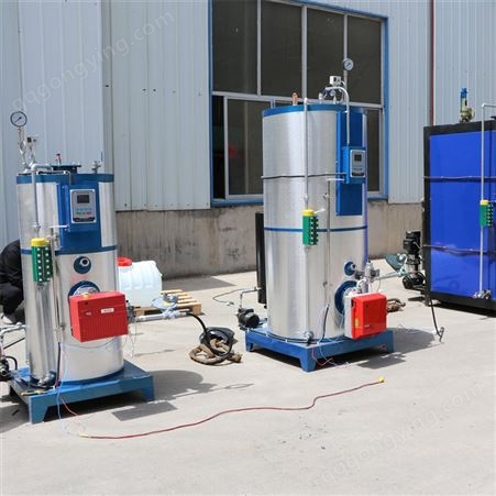 300公斤立式燃气蒸汽机 水容积小于30L高温蒸汽发生器