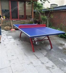 移动式乒乓球桌 比赛大彩虹乒乓球台 学校体育器材 泰昌供应