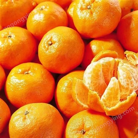 早熟蜜橘 果实园林 种植 箱式发货 脆甜可口 柑橘