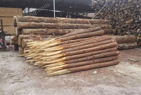 松桩 松木桩 支护桩木 工程防护用木桩 实用性价比高
