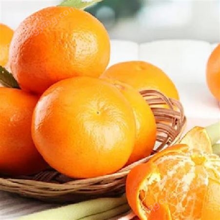 早熟蜜橘 果实园林 种植 箱式发货 脆甜可口 柑橘
