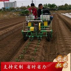 华龙娃娃菜种植机 多功能蔬菜移栽机 全国发货 可定制