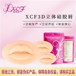 XCF炫彩坊3D硅胶唇模具 纹绣练习工具批发