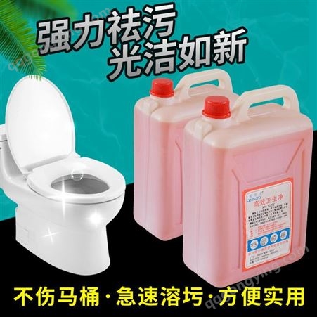 保洁专用高效卫生净厕所马桶便盆洁厕灵不伤瓷净剂
