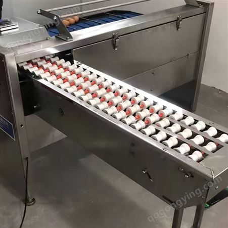 鸡蛋重量分级机 蛋类加工设备 不锈钢 快速分选机