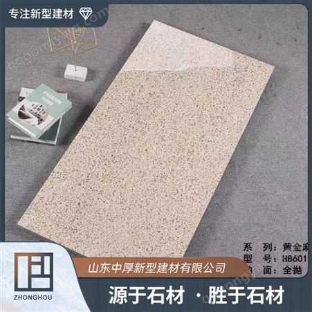 中厚 陶瓷仿石砖 加厚理石砖生产 防滑耐磨柔抛砖
