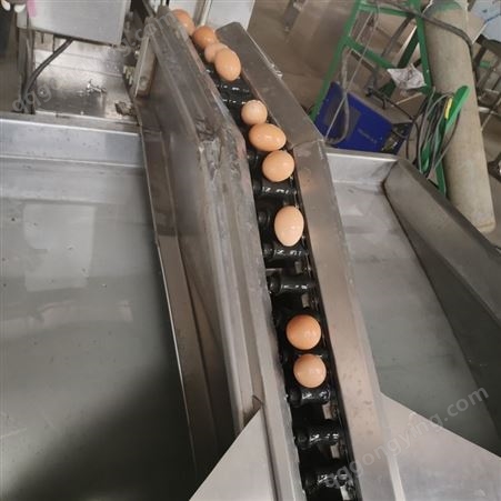 商用鸡蛋清洗机 全自动洗蛋机 鸡蛋清洗设备 翰润渤制造