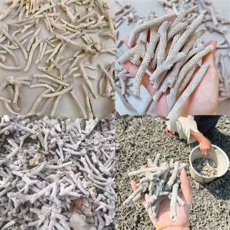 珊瑚砂 珊瑚骨 水族养殖调节水质用 支持批量定制 详情可询