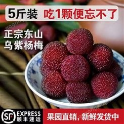 乌紫杨梅大丰 5斤小果新鲜采摘应季水果