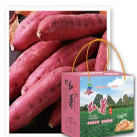 山 东地瓜红薯新鲜出售软糯香甜储存阴凉干燥处或冷藏