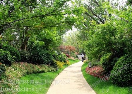 上海宝山花镜植物园林景观竹苗供应