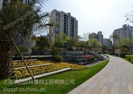 上海宝山花镜植物园林景观竹苗供应
