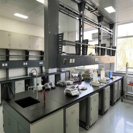 实验台实验室工作台 化学实验室化验台 操作台钢木 欧标操作台