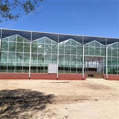 玻璃温室 轻钢结构 安装方便简易 排水量大 农用高温大棚