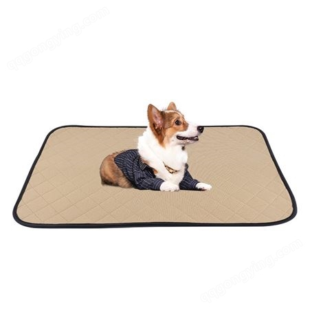 【宠物训导垫】吸水透气防滑宠物训导垫 狗狗加厚可水洗尿垫