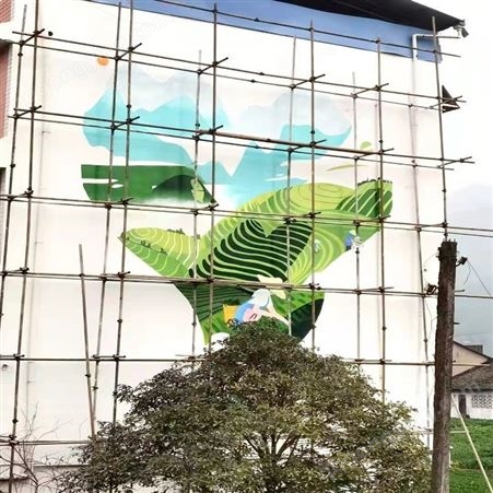3D立体画艺术 新农村风貌改造彩绘 乡村旅游墙体手绘设计