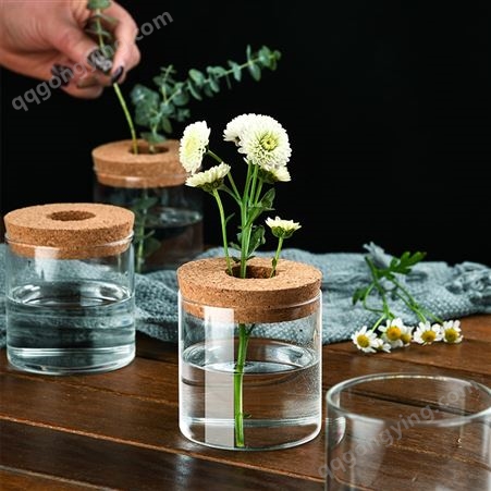 润耀 透明玻璃花瓶 北欧风简约水培 木塞插花装饰瓶