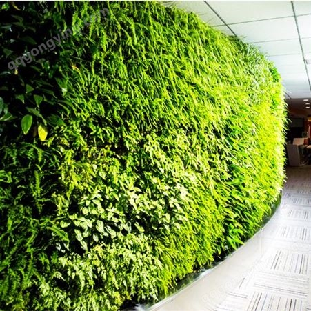 垂直绿化容器 立体景观植物墙种植盒子可定制免费测量
