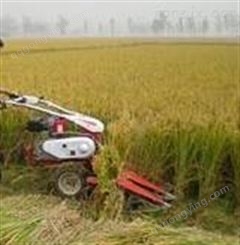 玉米水稻收割机带